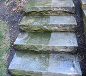 niagara-cleaned-steps
